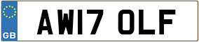 Trailer License Plate